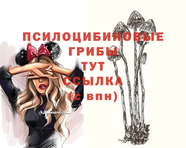 кокс Алексин