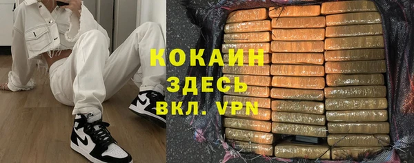 кокс Алексин