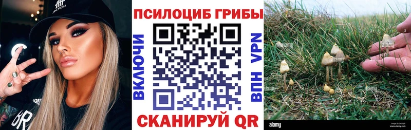 Псилоцибиновые грибы GOLDEN TEACHER  Дорогобуж 
